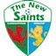 Dha Nyw Synts logo