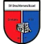 Drwtshyrsyn Asyl logo