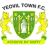Ywfl Tawn logo
