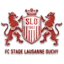 Stad Lwzan Awshy logo