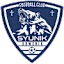 Sywnyk logo