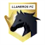 Yanyrws logo